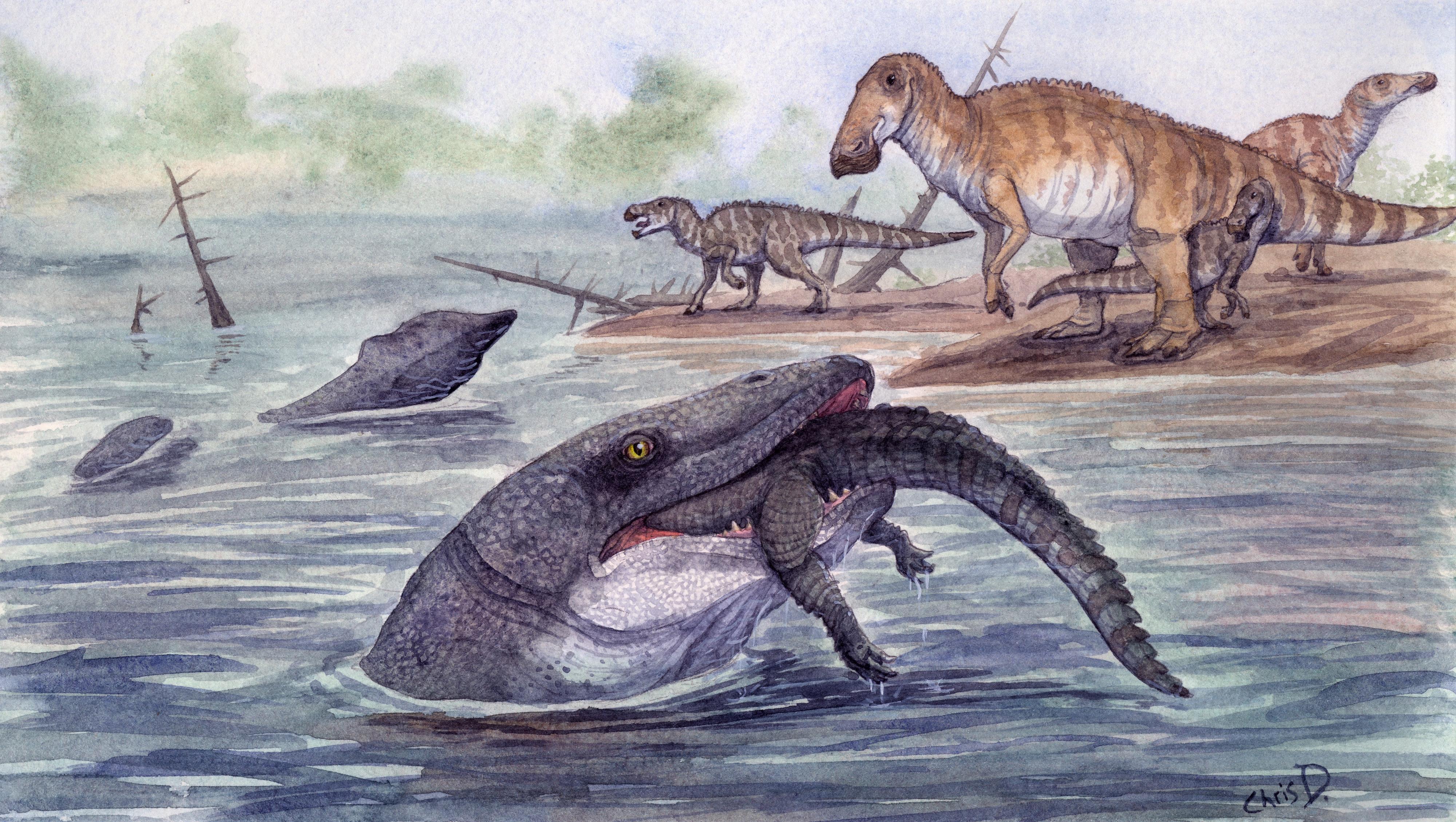 Did you know? First proof of mosasaur living in freshwaters