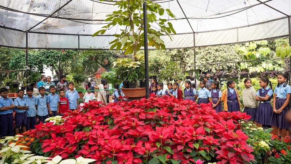 ‘Bloom with a Purpose’: NGO launches garden fair to empower persons with disability