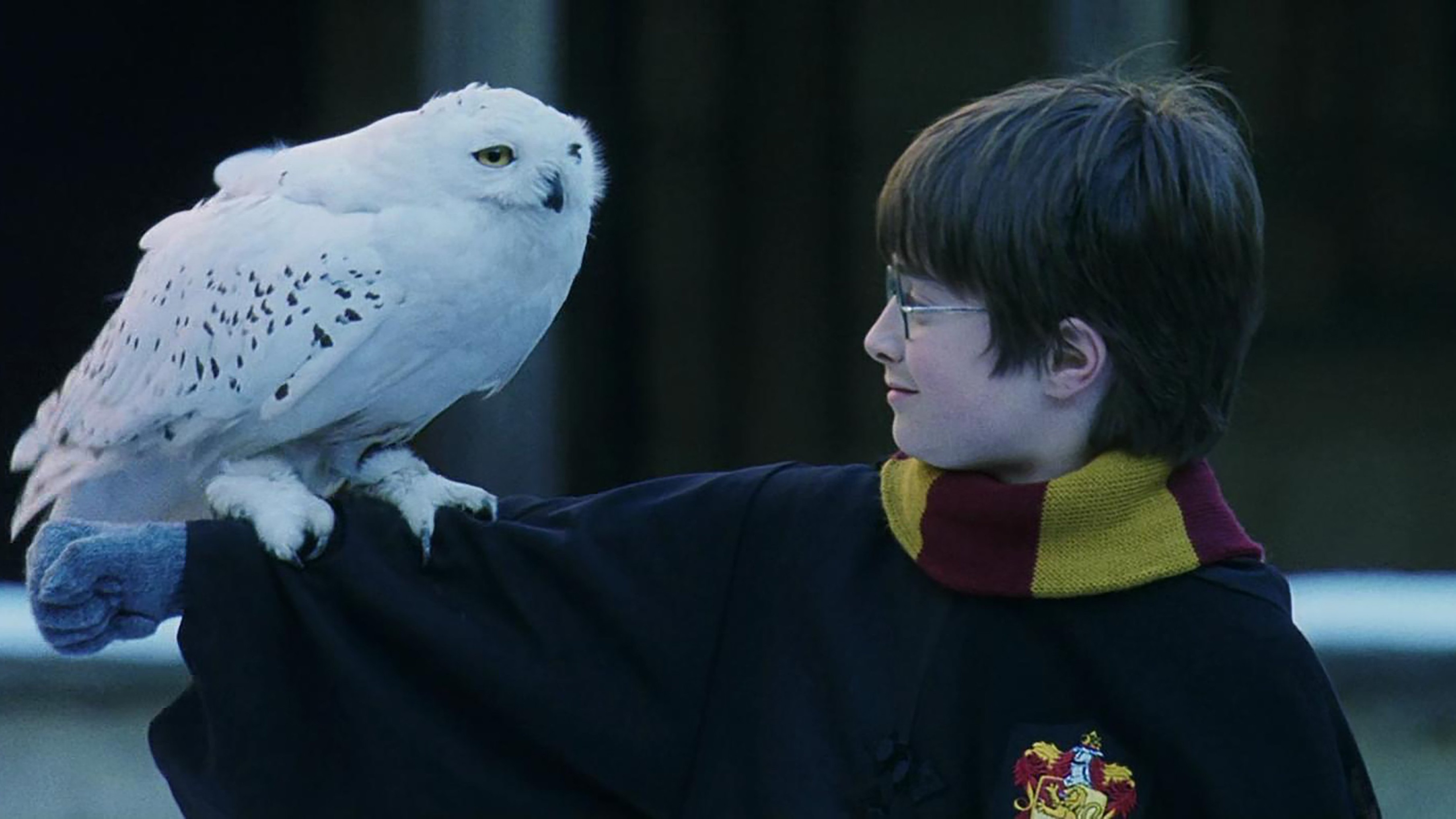 Netflix or Paramount? Why the Warner Bros deal could change cinema forever