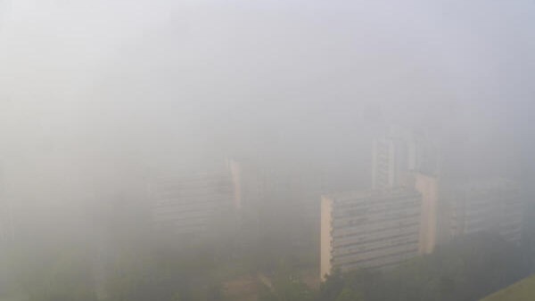 Dense fog disrupts operations at Delhi airport; 228 flights cancelled, 5 diverted