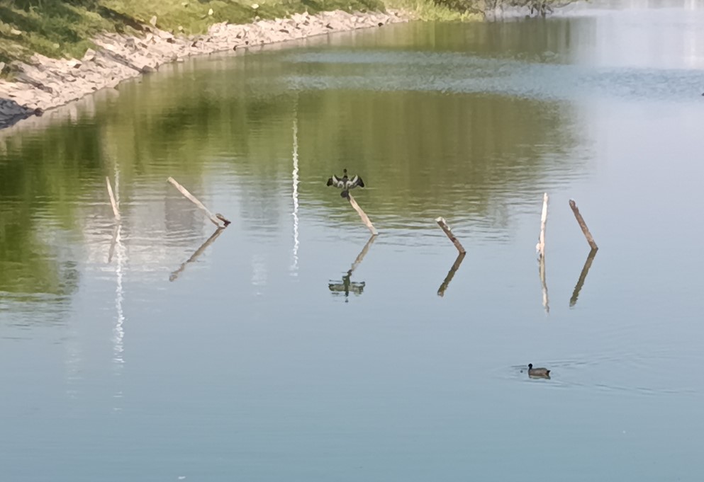 REDMI 15C 5G's camera sample with 5X Zoom.