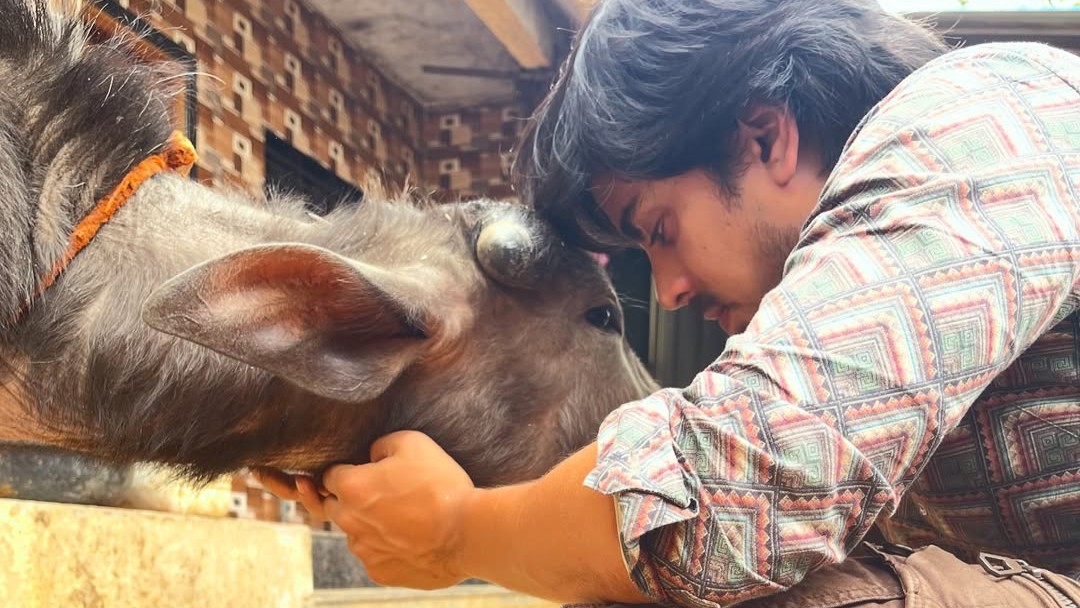 Adarsh Gourav in Superboys of Malegaon