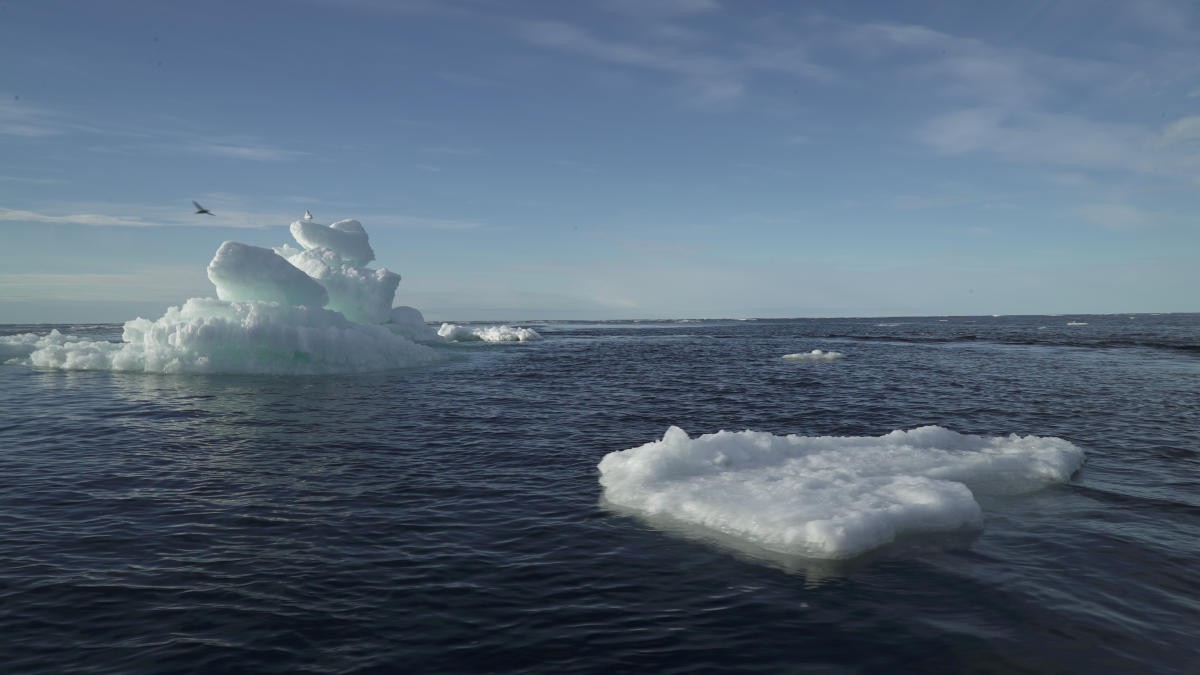 Representative image of the Arctic sea. 