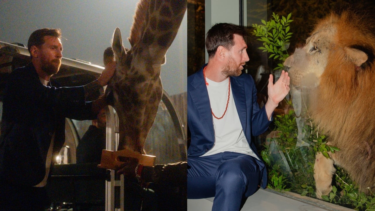 In Pics| Lionel Messi’s wildlife experience at Anant Ambani’s Vantara