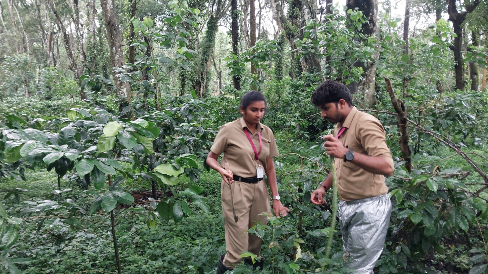 Students under training at the Central Coffee Research Institute. 