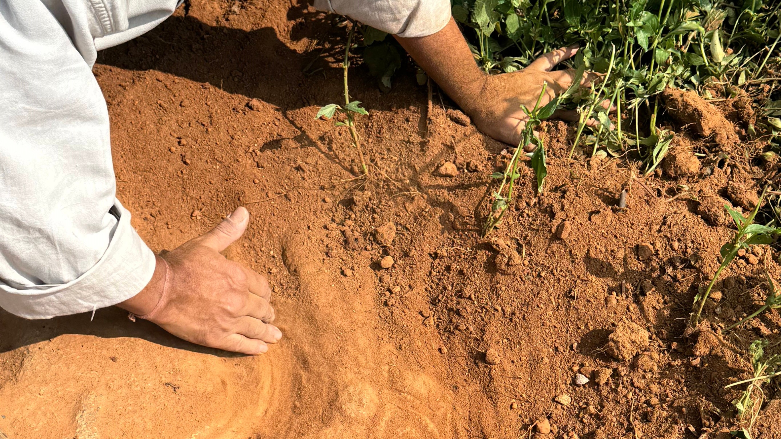 In search of the lost inscriptions of Sankenhalli