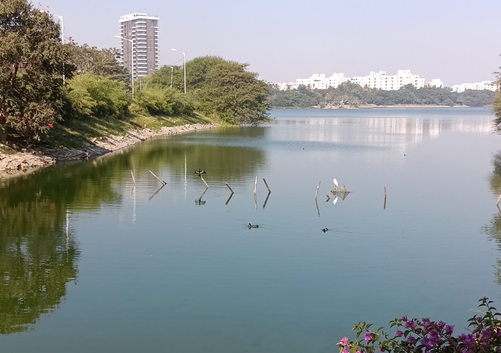 REDMI 15C 5G's camera sample with 2X Zoom.