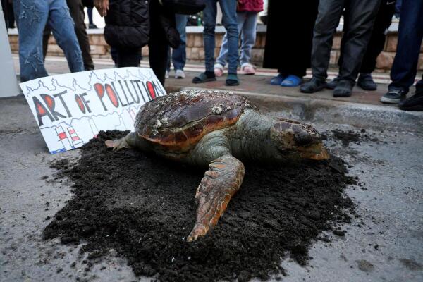 A dead sea turtle is displayed on the ground during a protest against pollution caused by chemical emissions from the state-owned Tunisian Chemical Group's phosphate complex in Gabes, Tunisia.