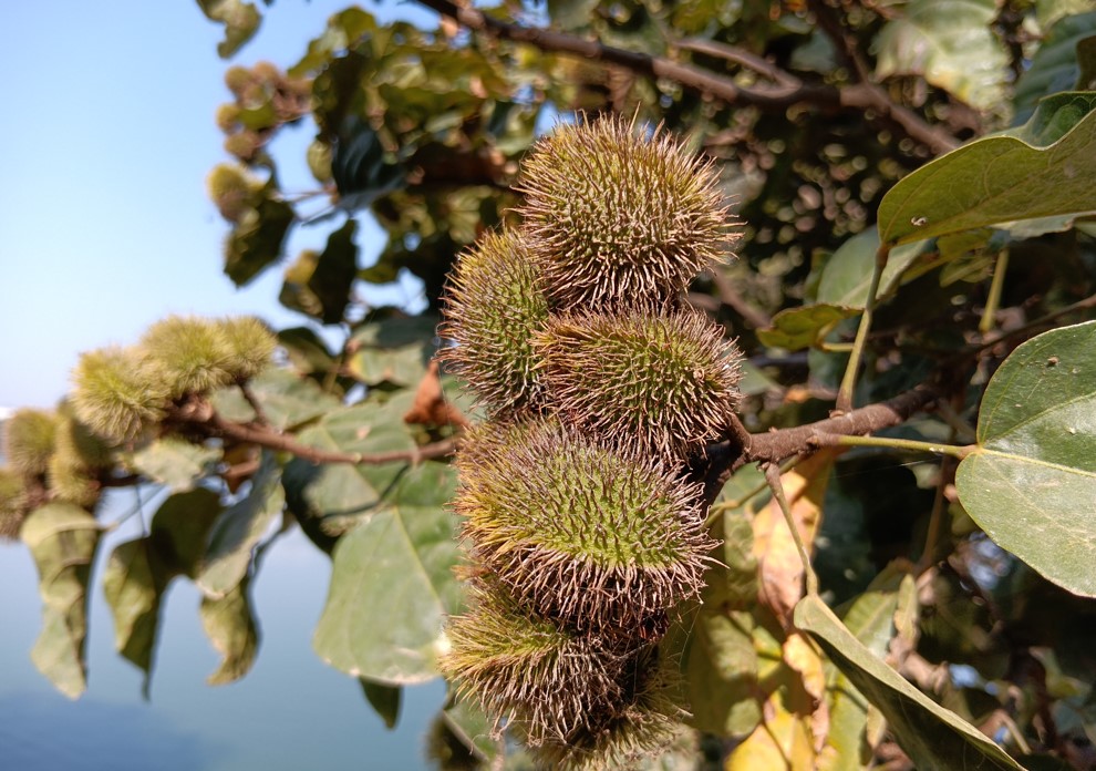 REDMI 15C 5G's camera sample.