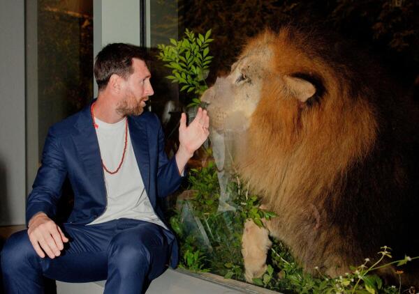 Argentina and Inter Miami's Lionel Messi sits next to a lion in a enclosure at Vantara animal rescue and rehabilitation centre in Jamnagar, Gujarat.