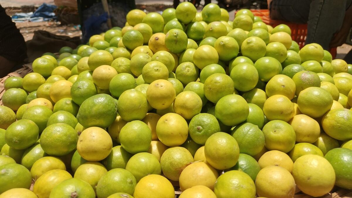 Karnataka's GI-tagged lemon exported to Oman