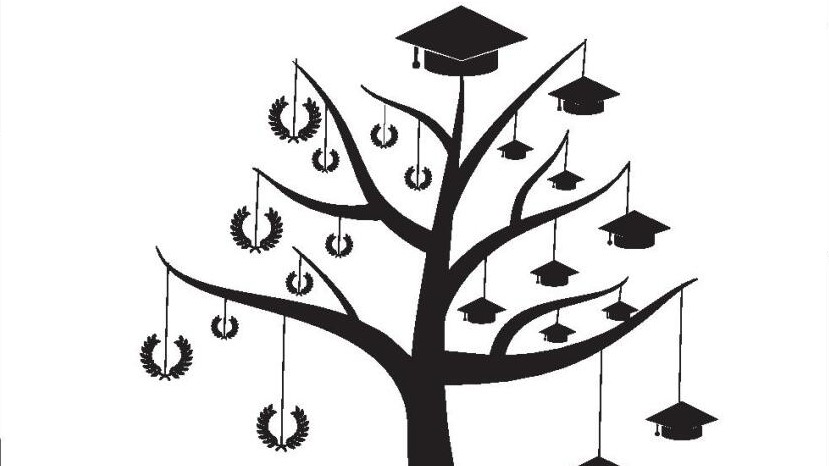 Higher education: The quantity vs quality debate