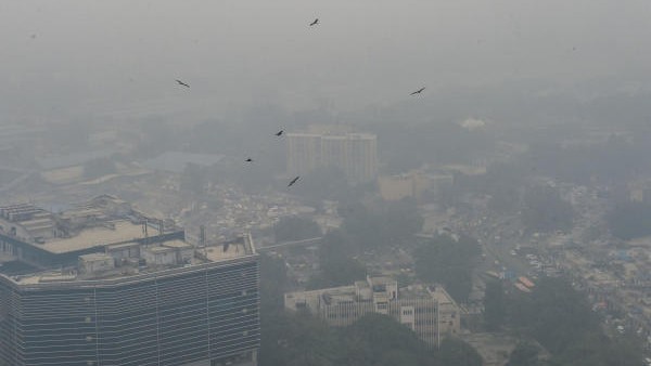 Over 270 flights delayed, 10 cancelled at Delhi airport due to fog