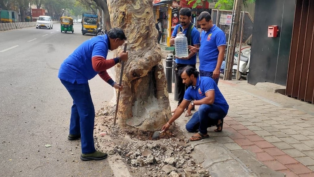 Bengaluru citizens launch campaign to rescue trees strangled by concrete and tar