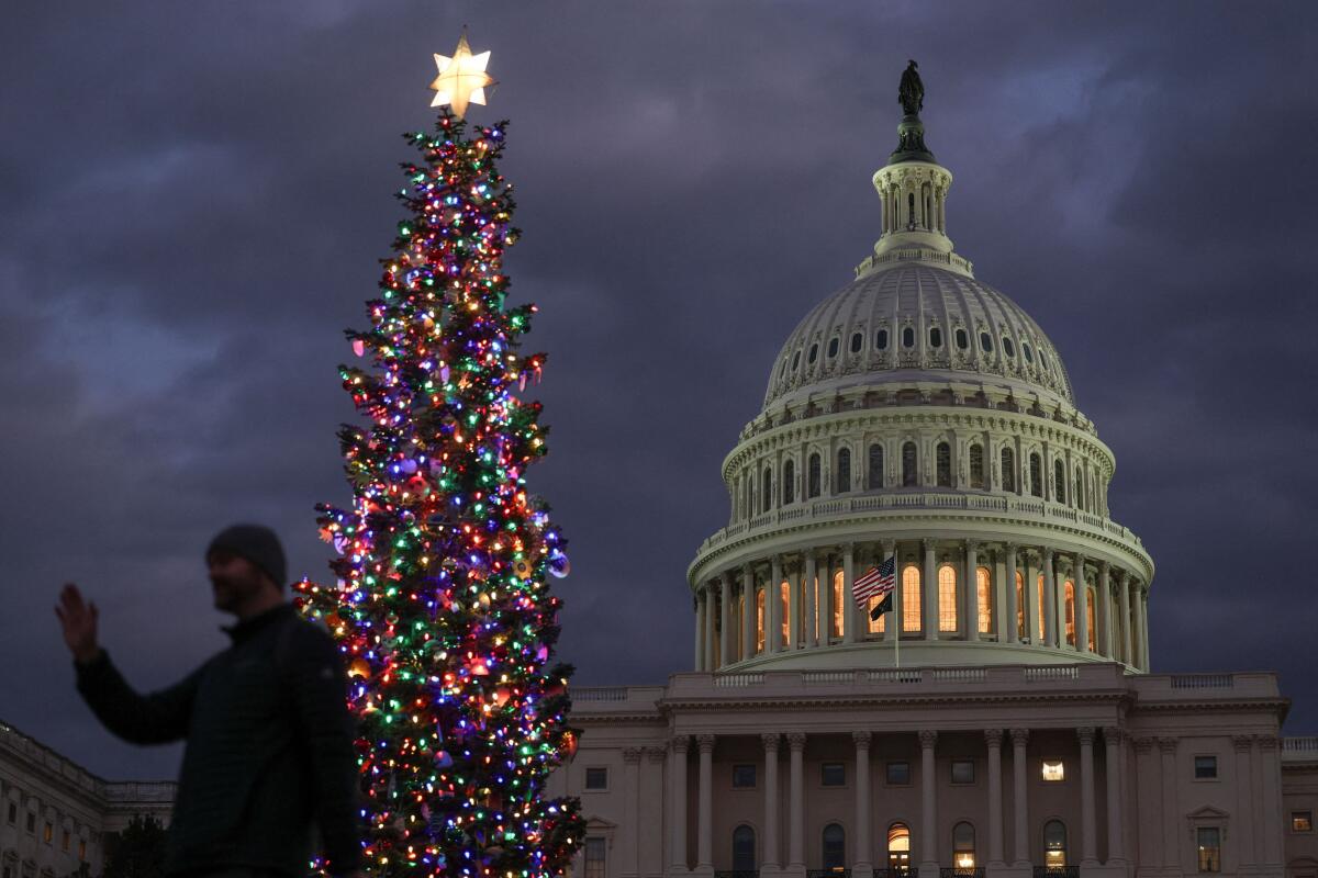 The U.S. Capitol Christmas Tree, a 53-foot-tall red fir from Nevada, stands at the U.S. Capitol in Washington.
