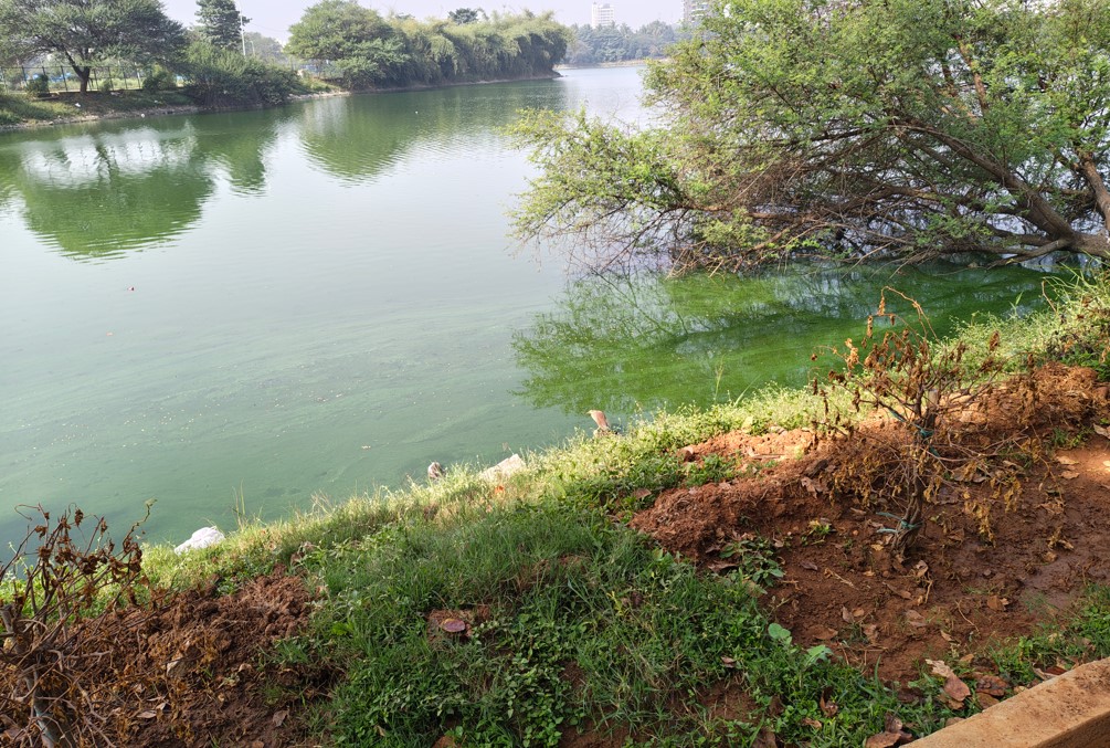 Motorola Edge 70's ultra-wide-angle photo sample.