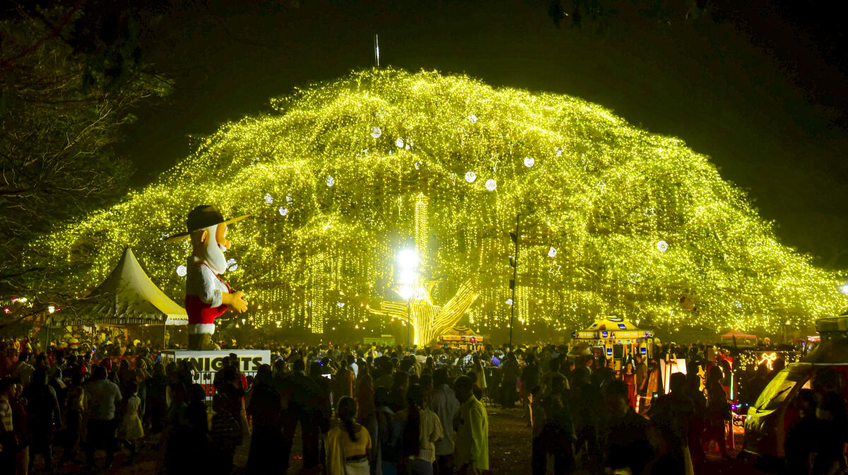 People gather as the 80-foot tall 200-year-old rain tree is illuminated with lights and decoratives during the Christmas festival celebration, at Veli Ground, in Kochi, Kerala.