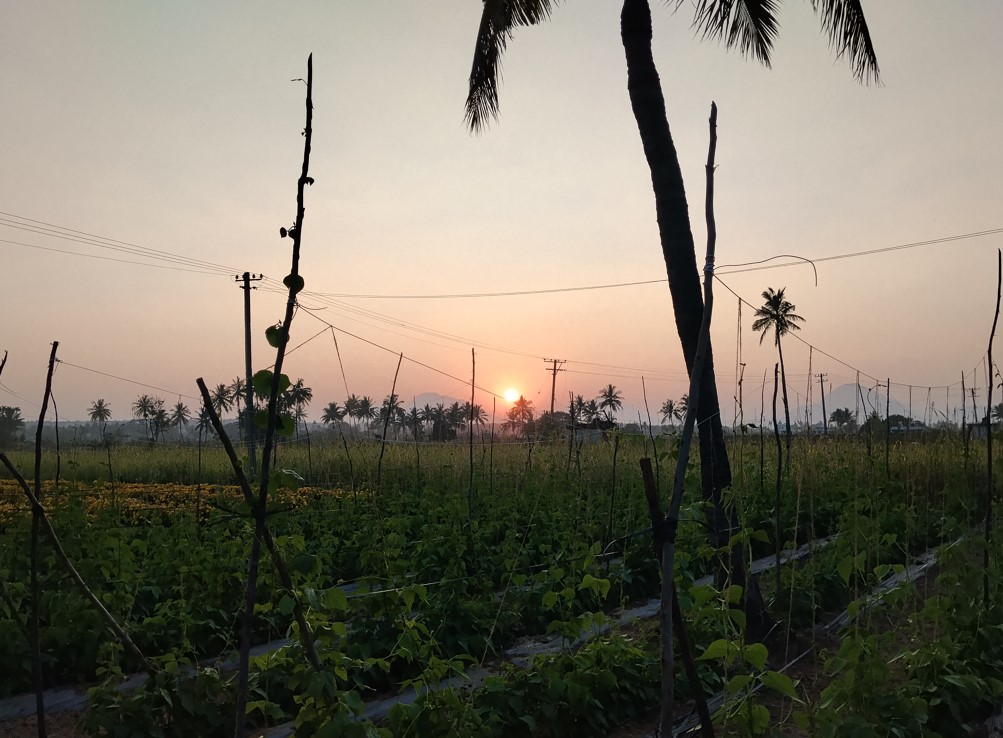 Poco M7 Plus' camera sample.