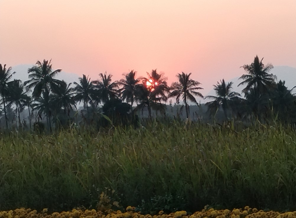 Poco M7 Plus' camera sample with 5X zoom.