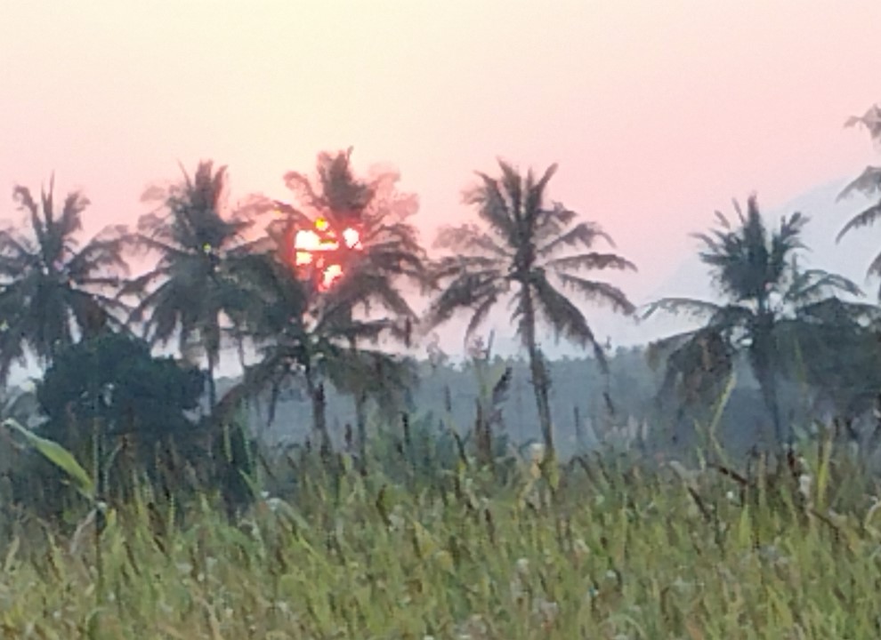 Poco M7 Plus' camera sample with 10X zoom.