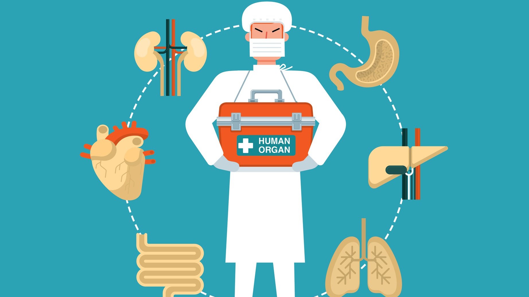 Karnataka records highest-ever organ donations in 2025, ranks third nationally