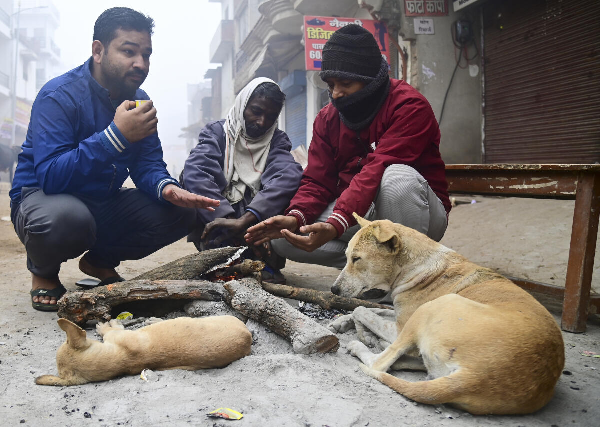 People sit around a bonfire to warm themselves on the New Year's day, in Prayagraj, Thursday, Jan. 1, 2026.