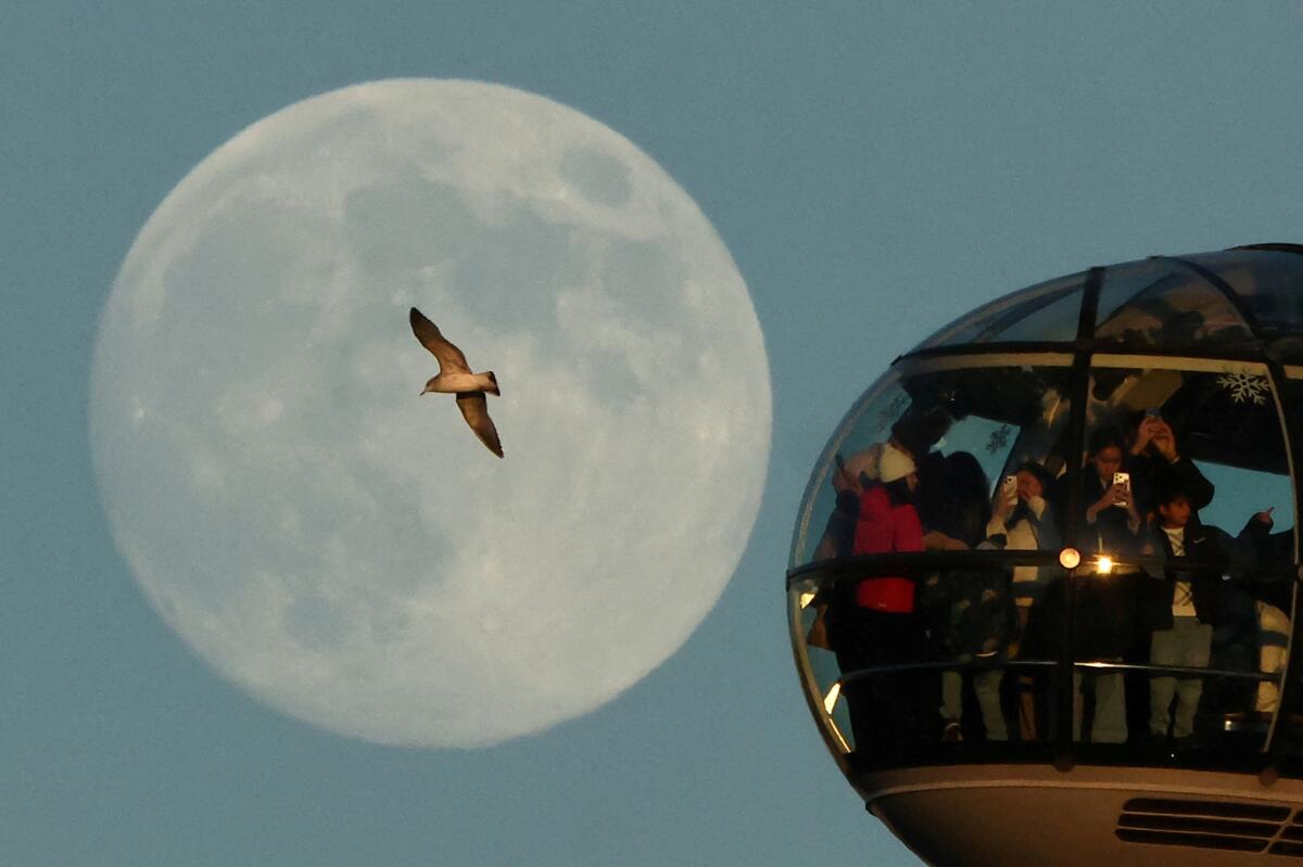 The moon rises on the eve of a Wolf Moon supermoon as passengers look out from a pod on the London Eye wheel and a gull flies, in London, Britain, January 2, 2026.