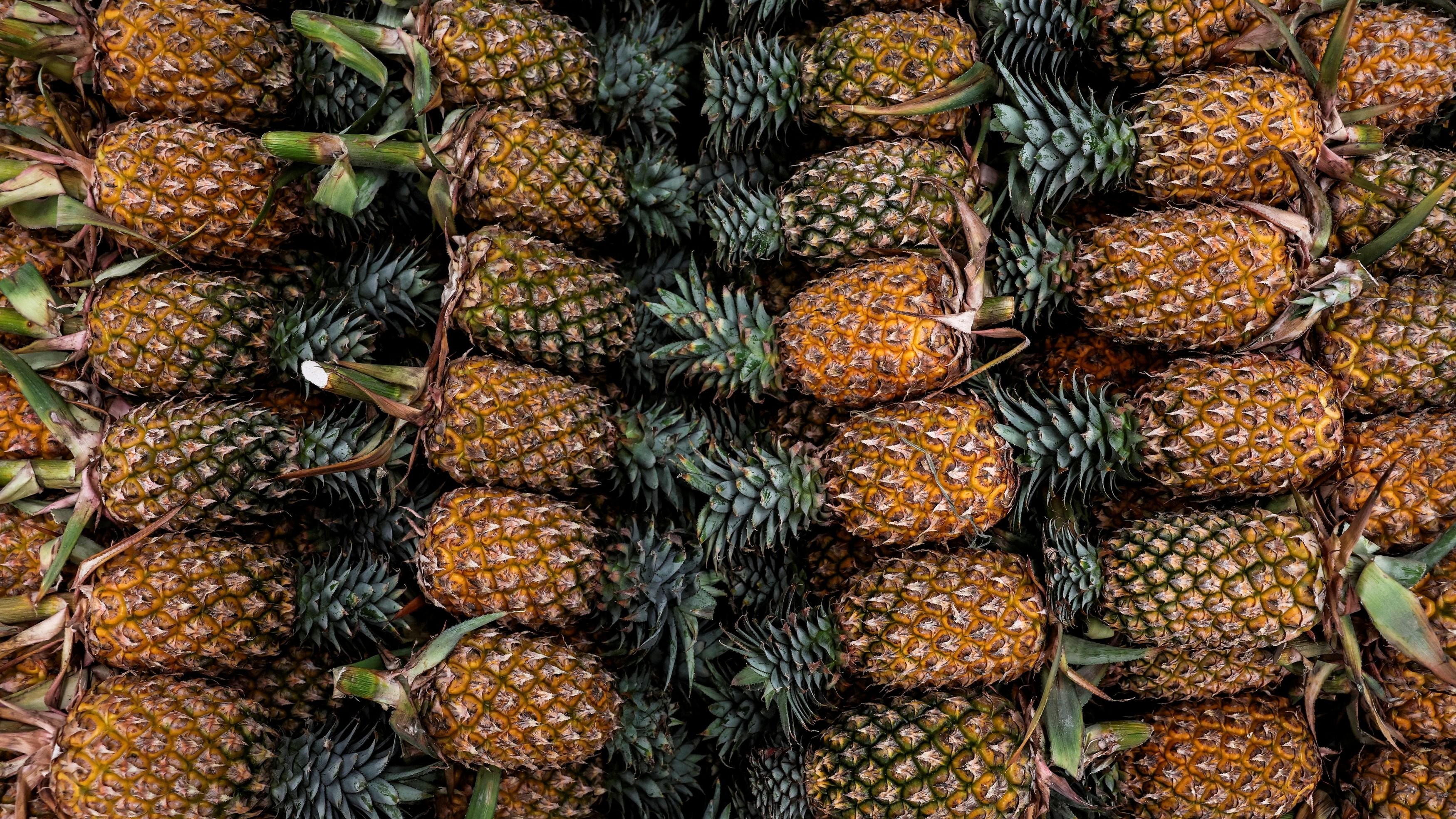 Price of Kerala pineapple skyrockets; fertilizer shortage and climate changes key reasons