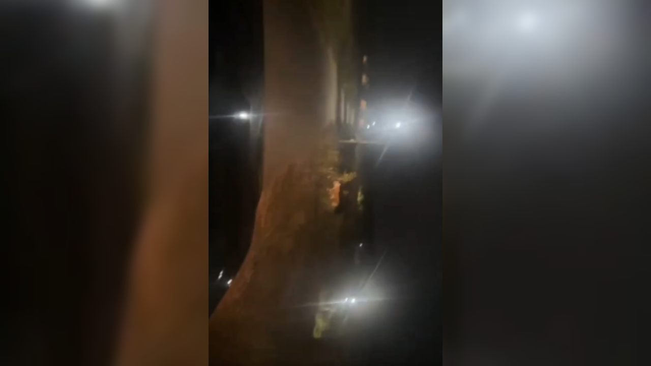 Search operation launched after tiger spotted at Mysuru Airport