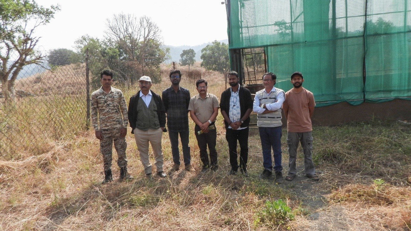 BNHS releases 15 vultures in Melghat Tiger Reserve