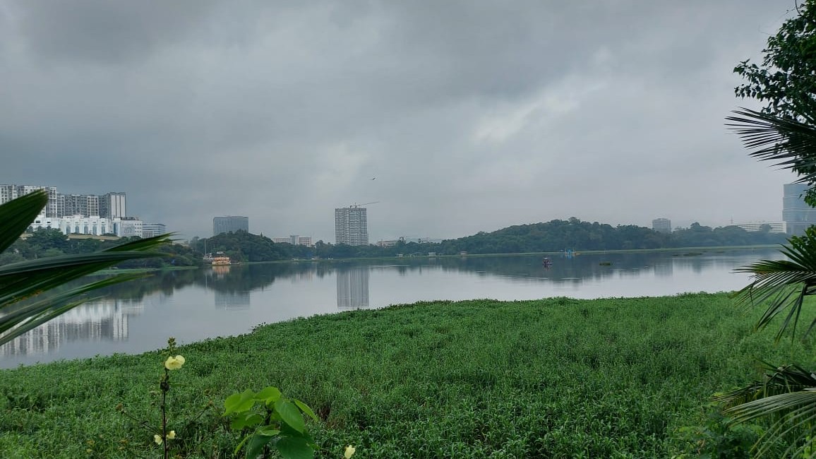 Beyond hyacinth, multi-species weeds choke Powai Lake; ICAR offers science help