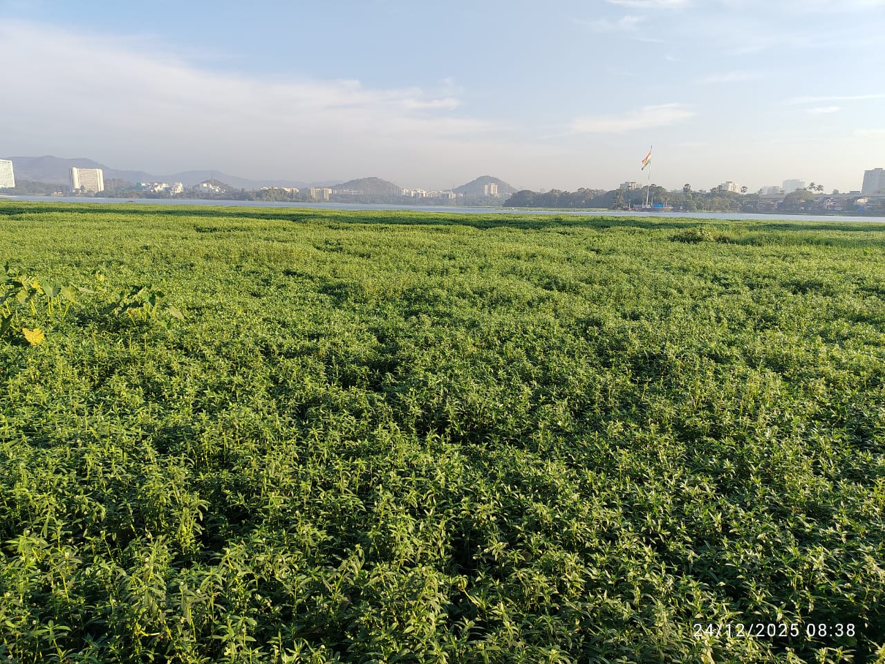 <div class="paragraphs"><p>Credit: Special Arrangement</p></div>