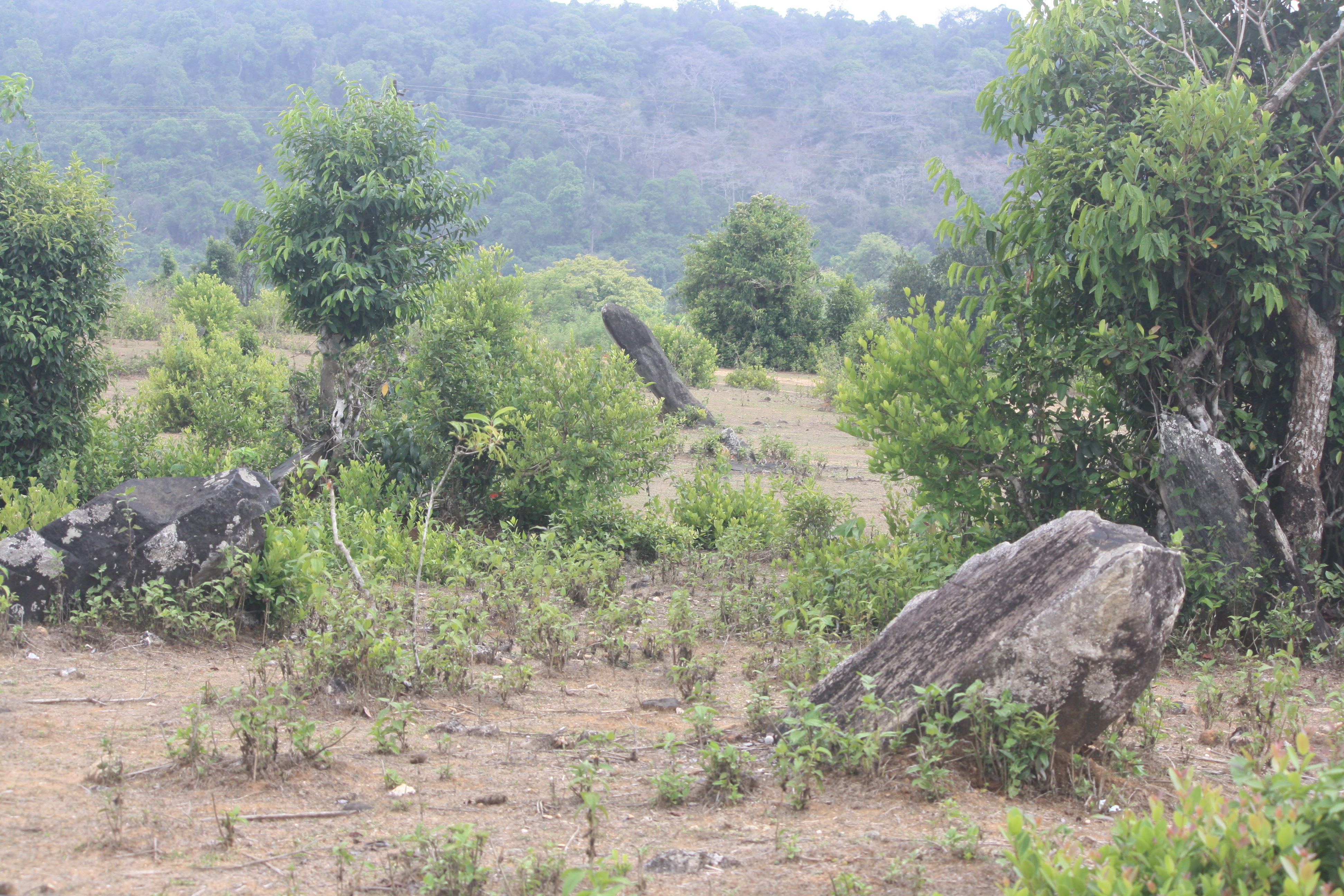The megalithic site at Byse. Photo by Srikumar M Menon