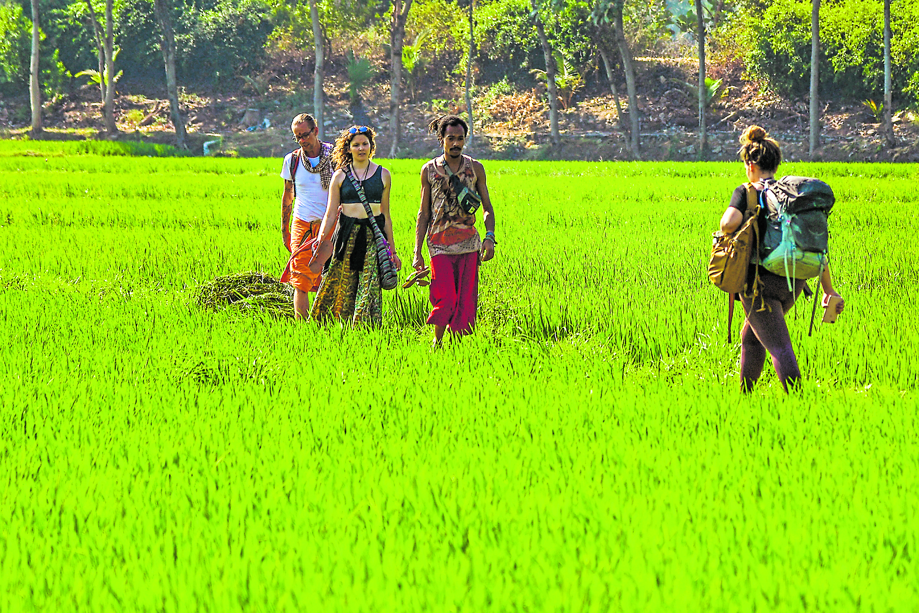 Tourists enjoyimg in the green paddy fields in Kishkindha region. Photo/Bharat Kandakur