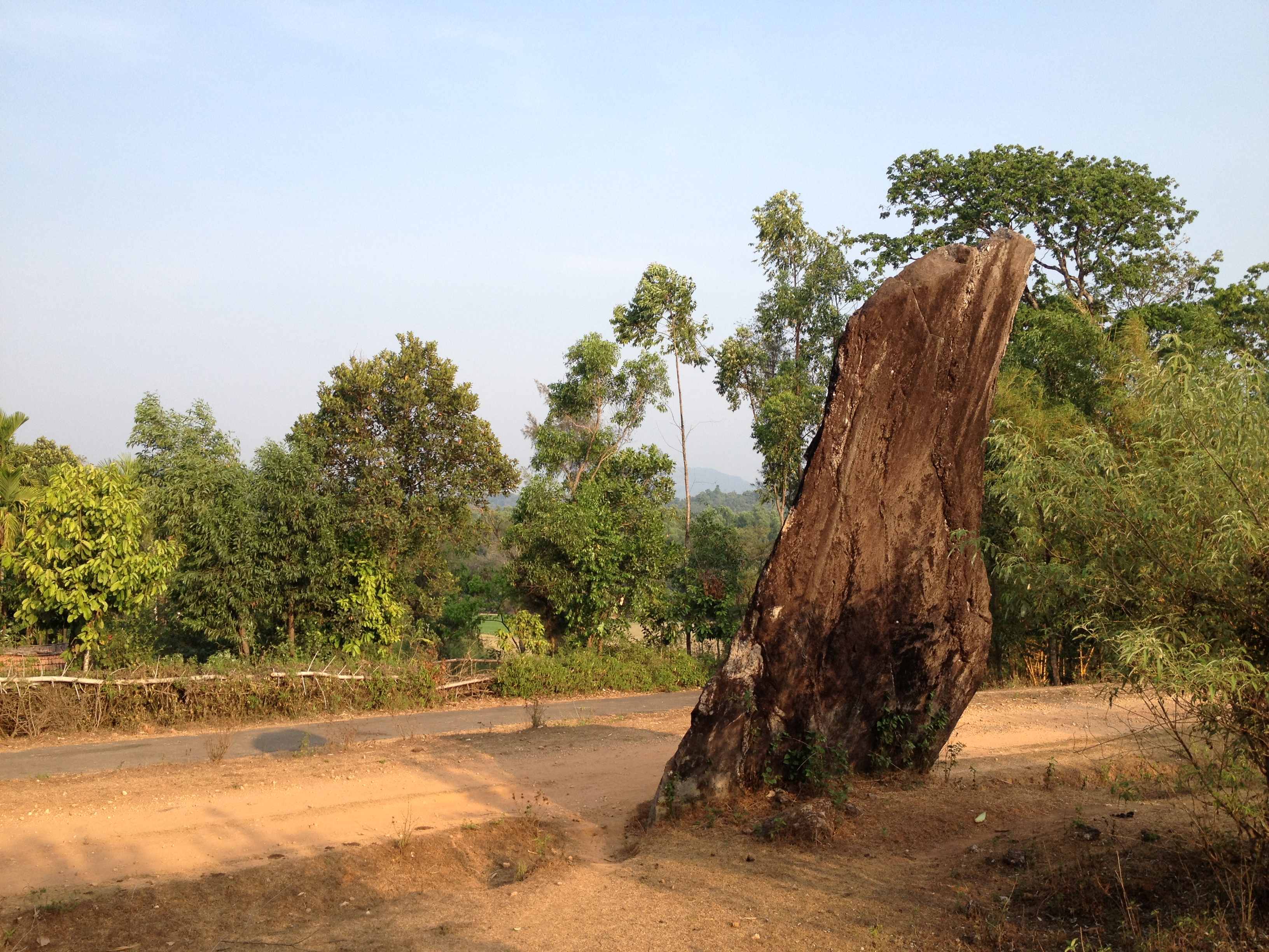 The largest menhir at Nilaskal estimated to weigh roughly16 tonnes. Photo by Srikumar M Menon