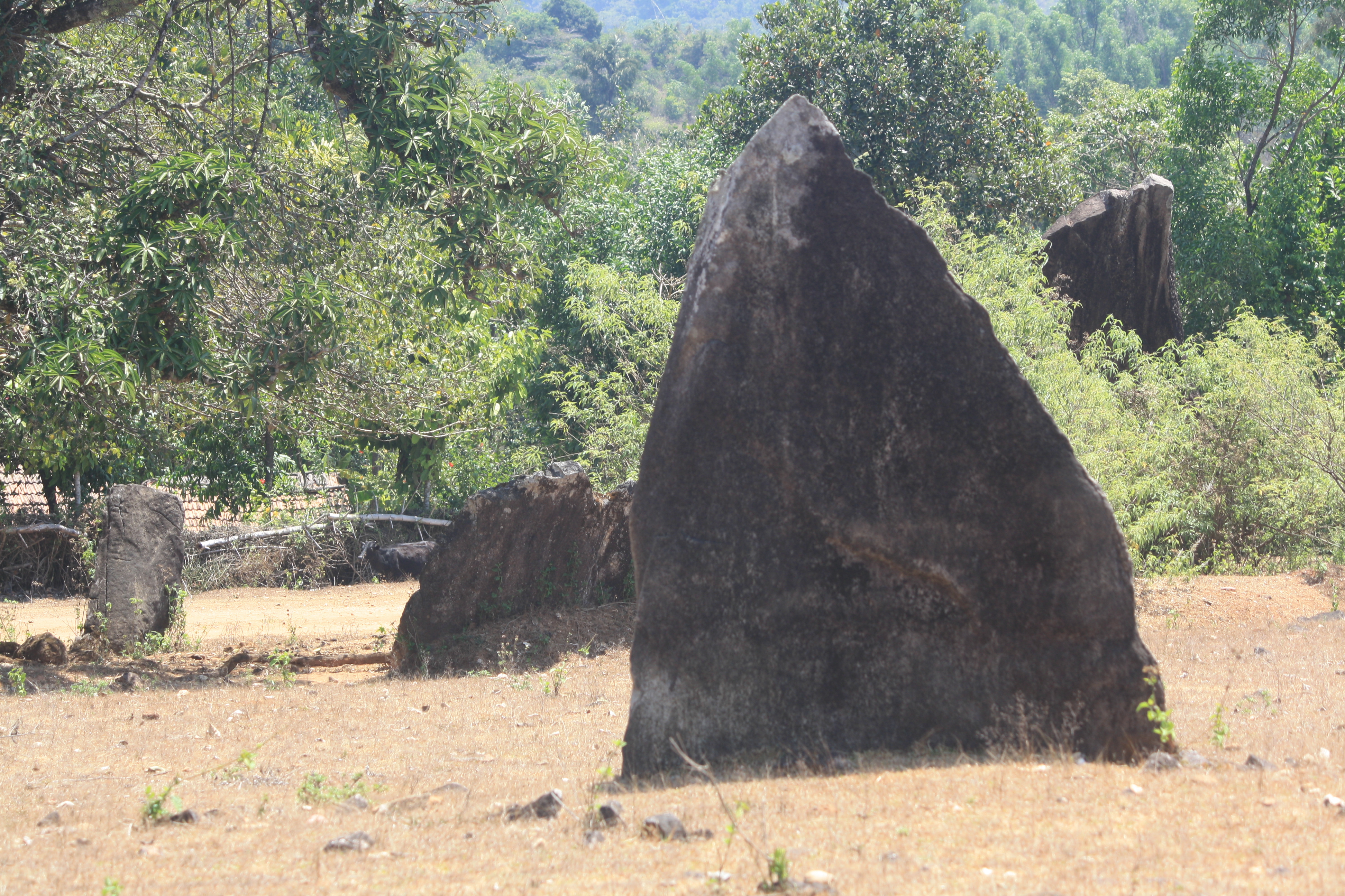 The taller menhirs at Nilaskal are positioned downhill so that the tops of the menhirs appear nearly at the same level. Photo by Srikumar M Menon