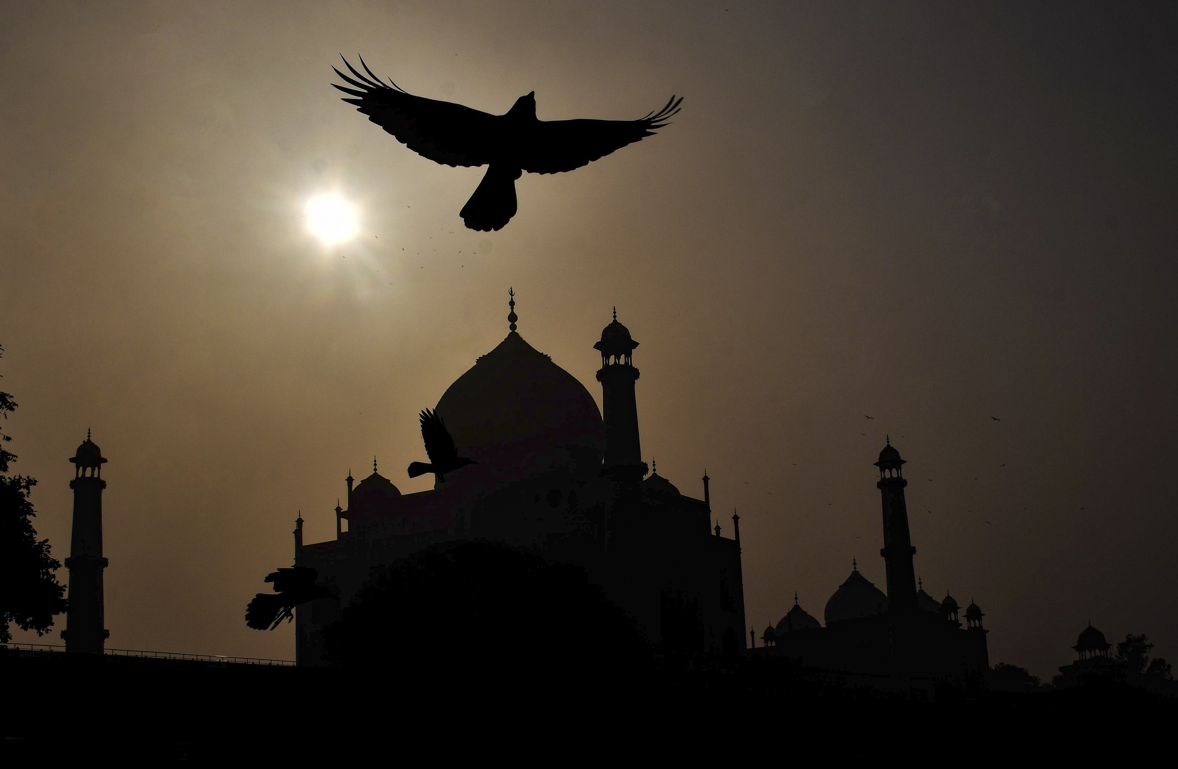 A bird takes flight as the sun emerges after several days of intense cold, at the Taj Mahal in Agra,