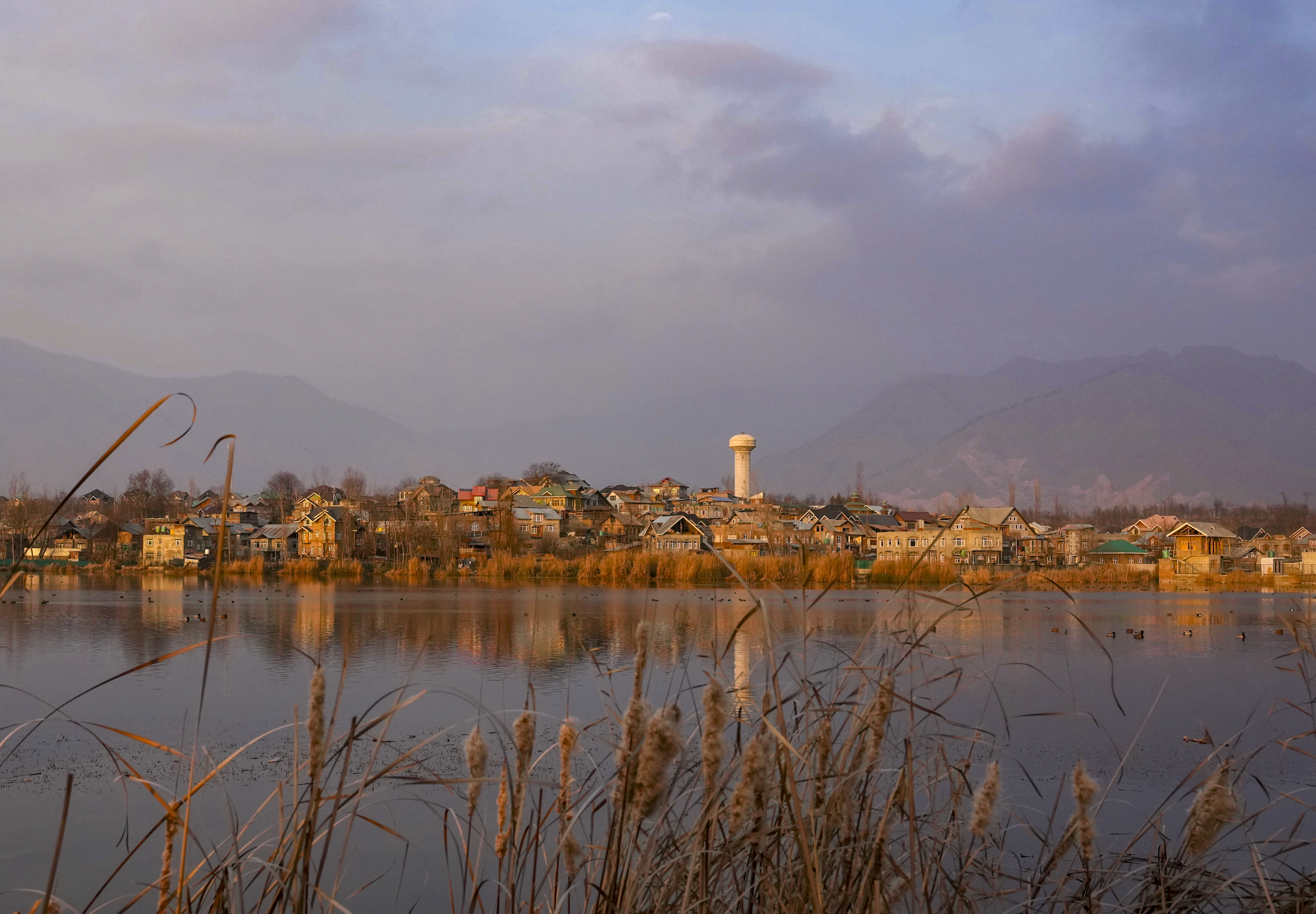  Migratory birds in Kashmir