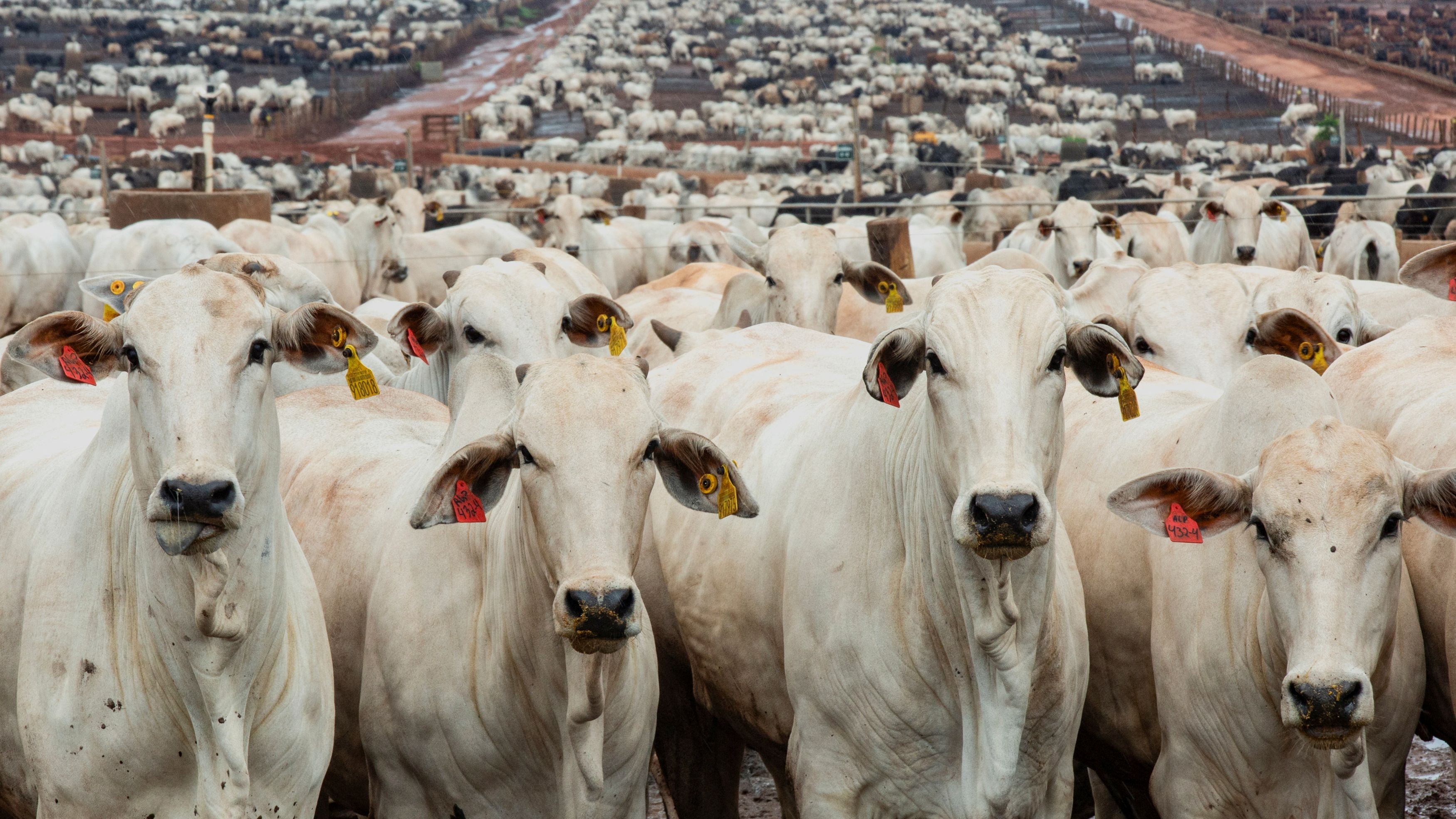 News in Pics | January 8, 2026: Best photos from around the world