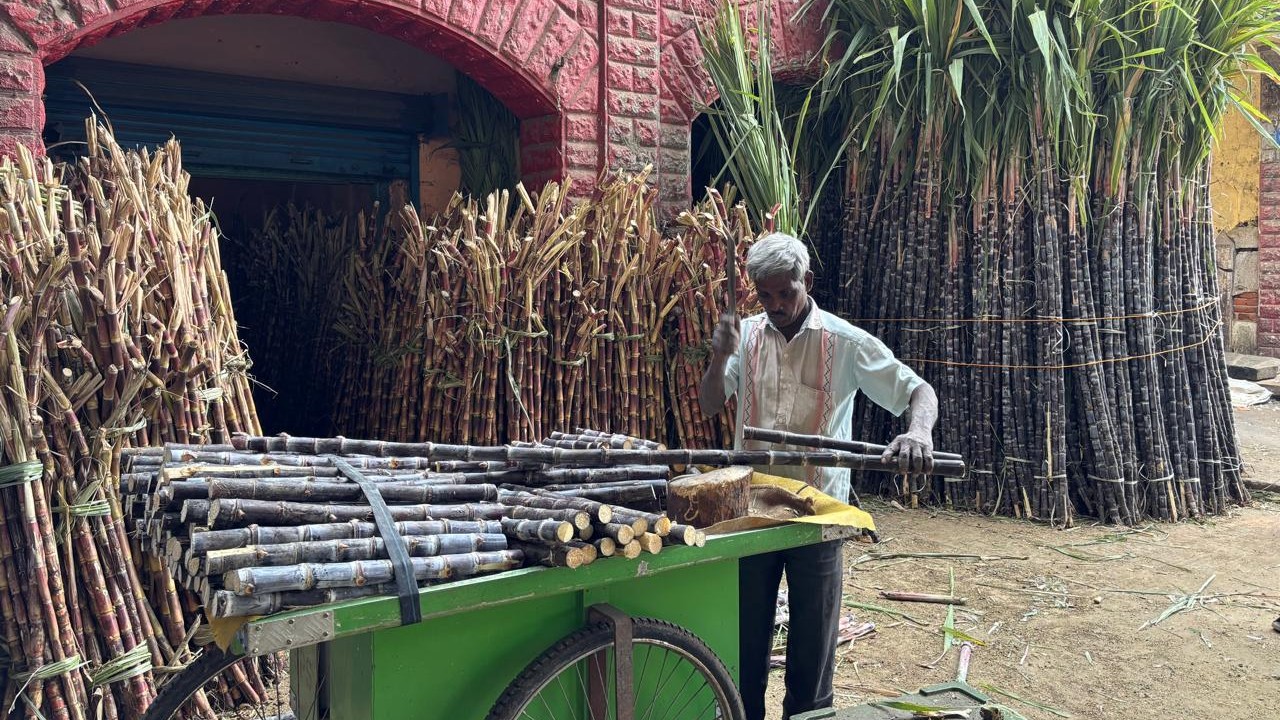 Bengaluru: Sugarcane prices to surge as Sankranti demand peaks