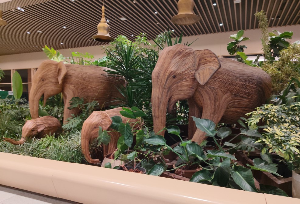 Redmi Note 15 5G's camera sample.