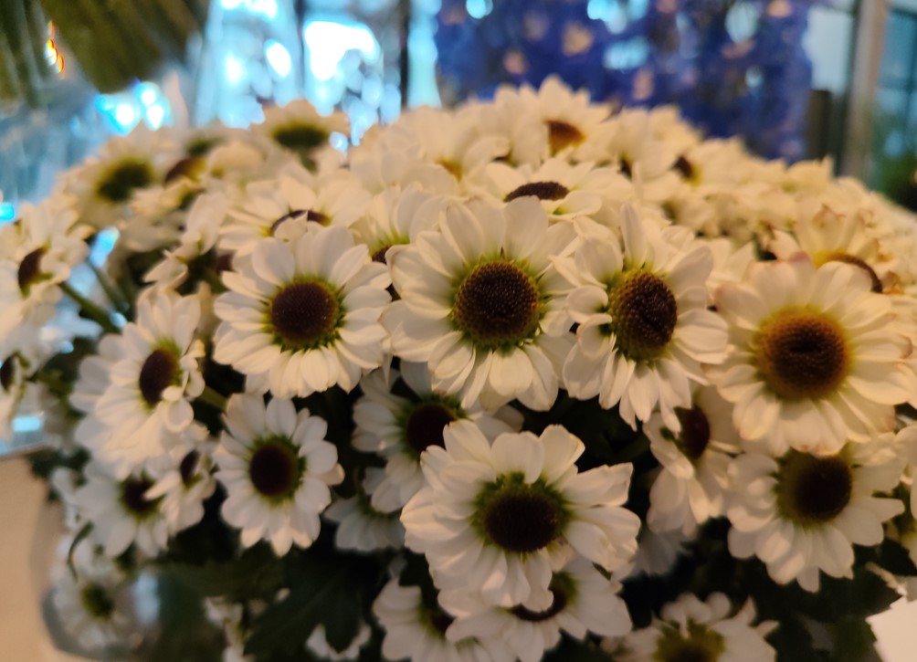 Redmi Note 15 5G's camera sample.