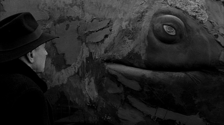 Bela Tarr: Cinema as enigma