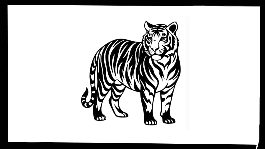 Reimagining tiger safaris