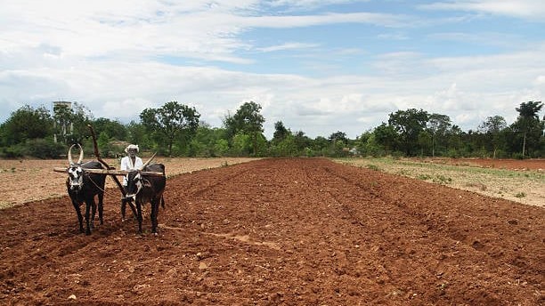 Why India’s farmers may be left behind in the upcoming Union Budget