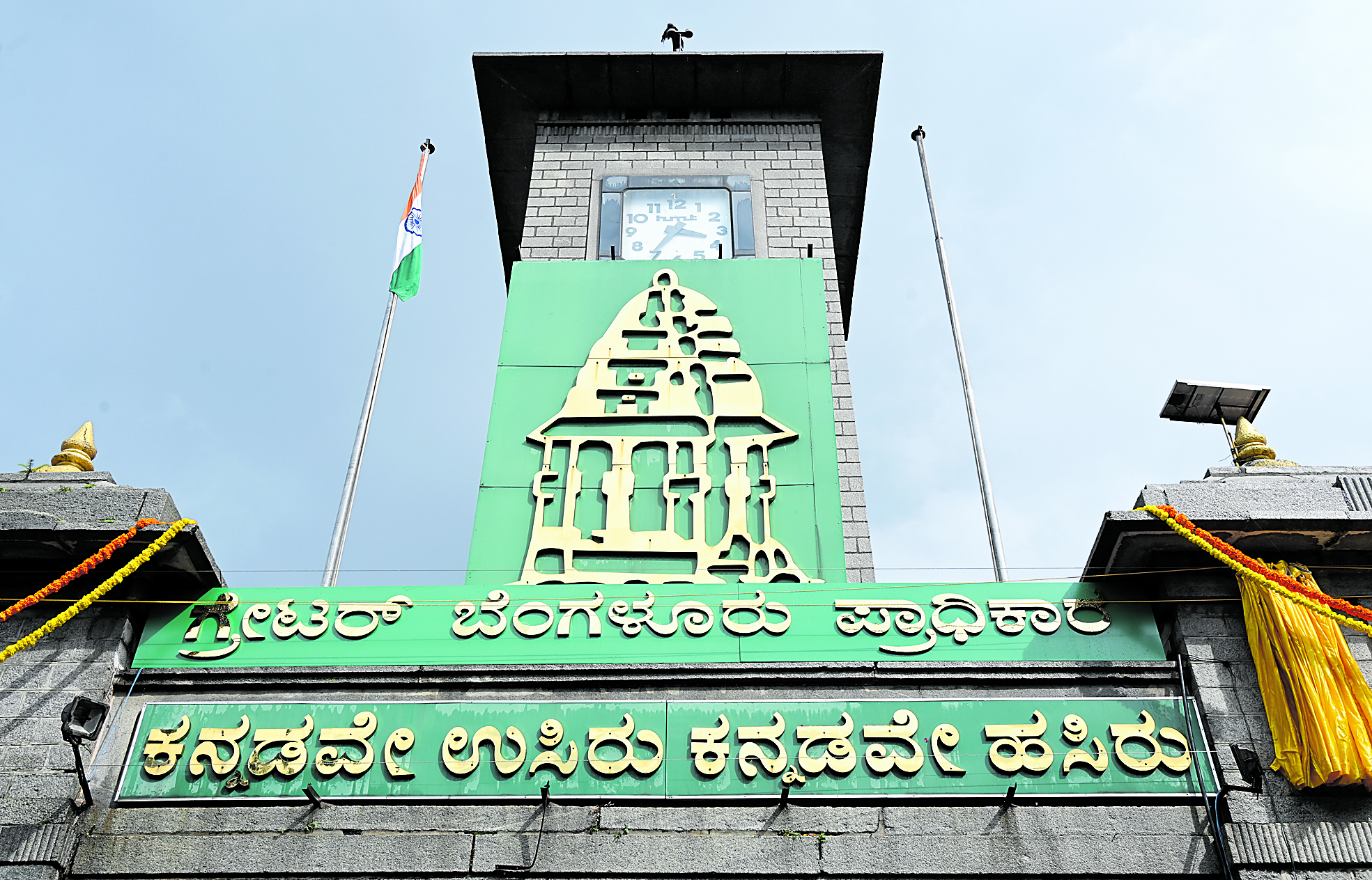 GBA files complaint over illegal felling of 101 trees