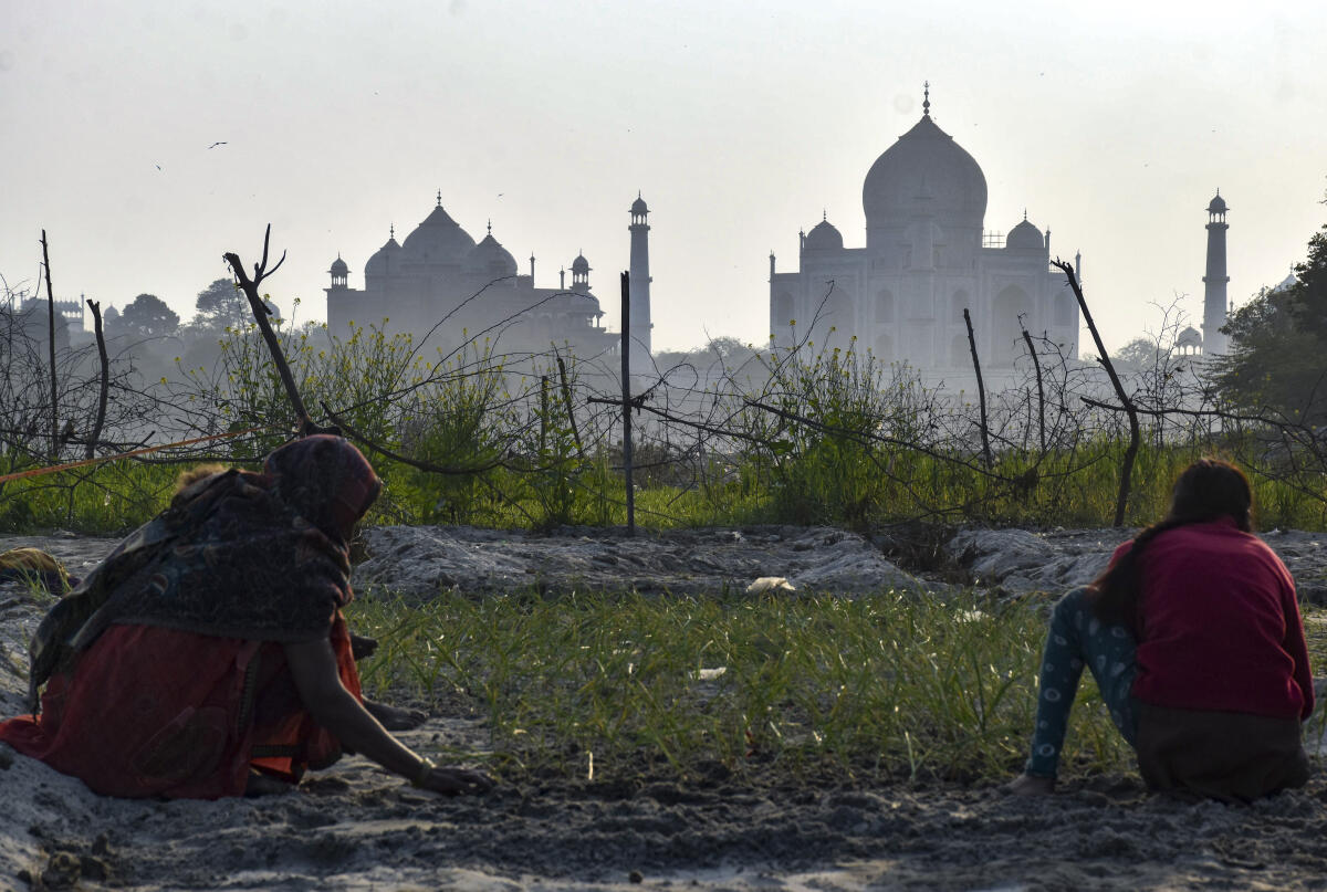 Farmers plant onions saplings in an area with the Taj Mahal in the backdrop during winter, in Agra