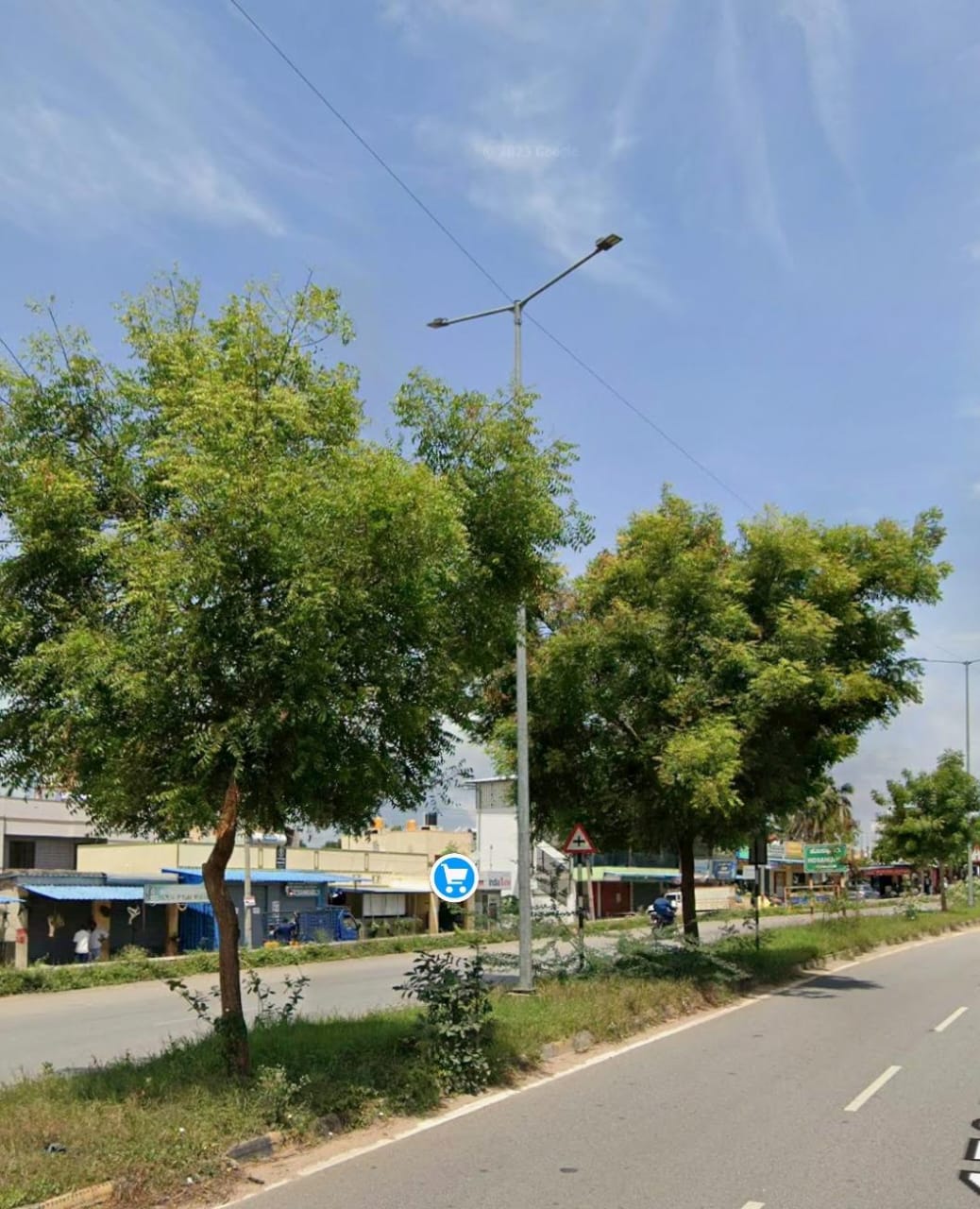 Neem trees on the median of Mysuru Ring Road for 800 mtr stretch, near Devalapura cross junction, which are proposed to be cleared for construction of a flyover.