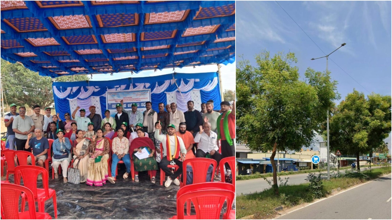 Mysuru's Devalapura flyover: Activists oppose felling of 48 Neem trees for ring road project