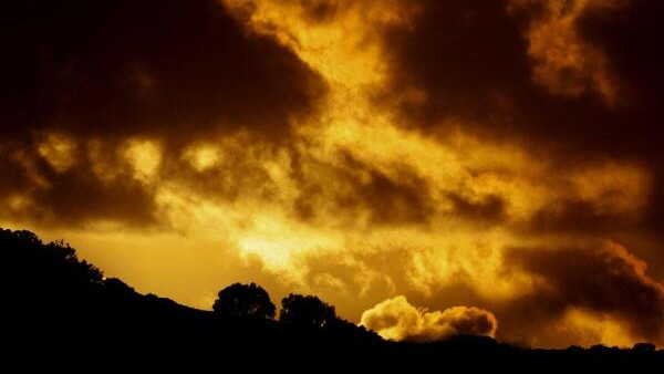 Birds fly over a field during sunset outside Siggiewi, Malta, January 13, 2026.